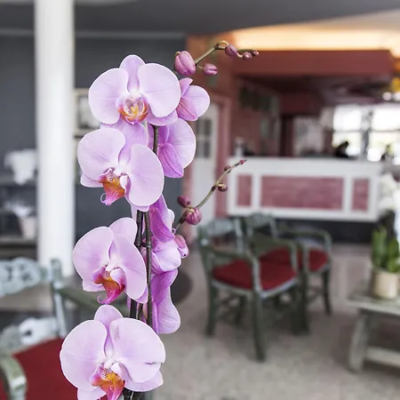 Adrian Colon Guanahani Adultos Only Hotel 4*